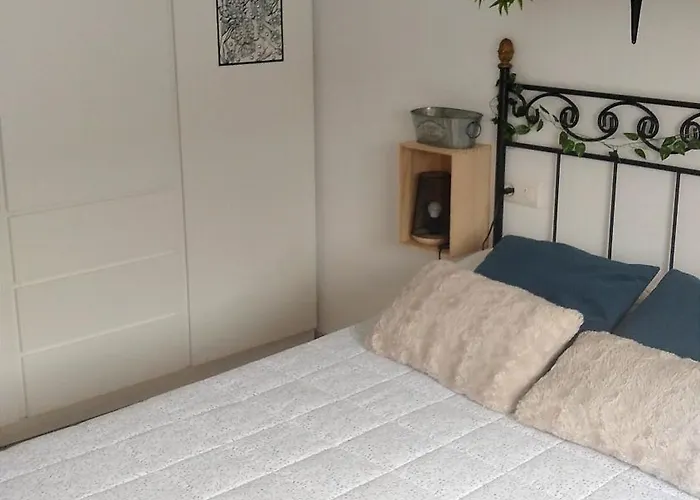 Raíz Azul 2 Cerquita De Salinas